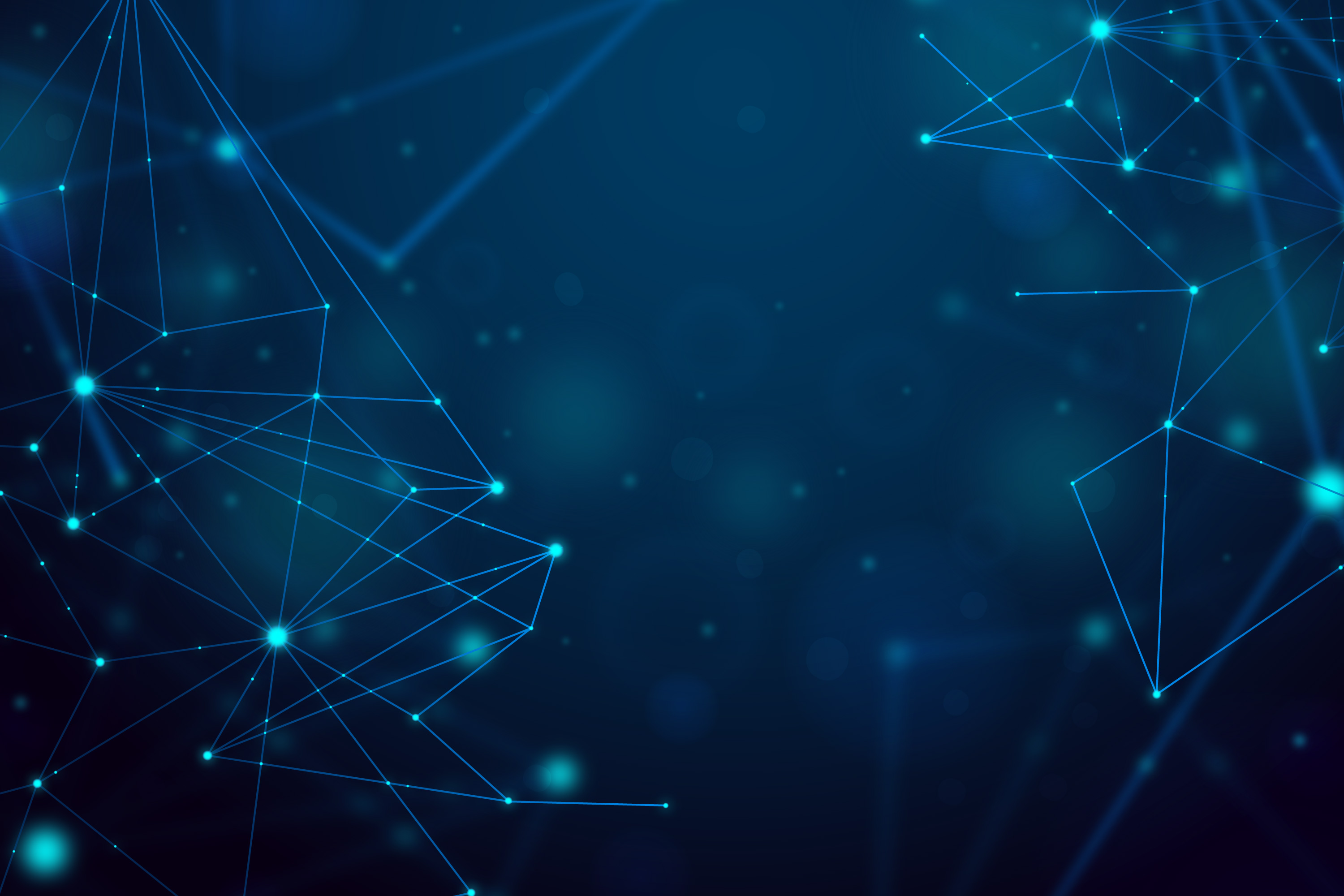 Randula portfolio banner